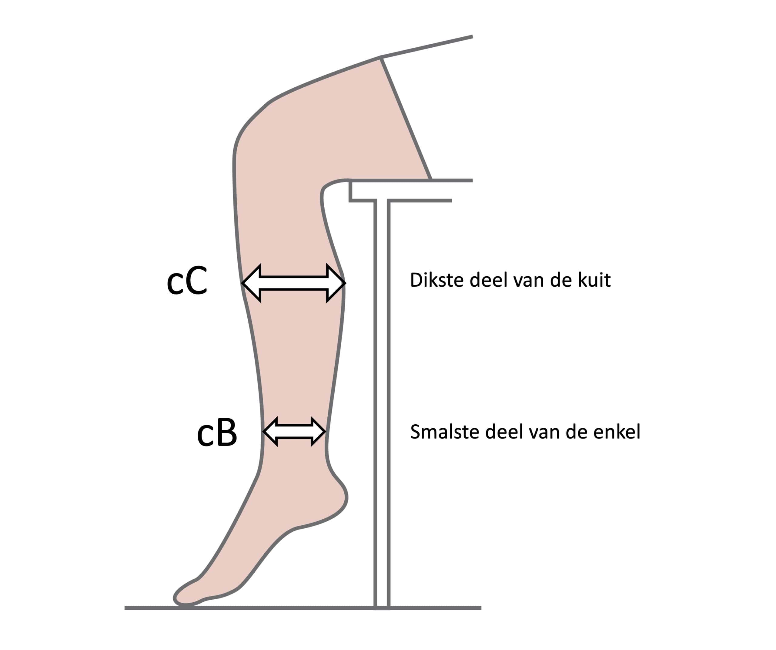 maten van het been kous